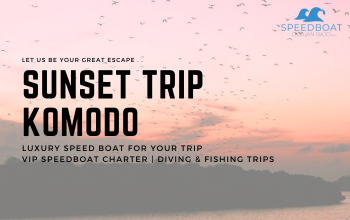 le chanos komodo sewa speedboat sunset trip komodo