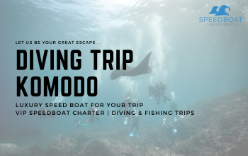 Diving Trip Labuan Bajo x Le Chanos Komodo sewa speedboat labuan bajo