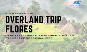 overland trip flores x sewa speedboat labuan bajo