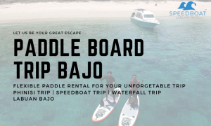 Paddle Board Labuan Bajo Waterfreaks Indonesia