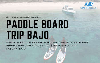 Paddle Board Labuan Bajo Waterfreaks Indonesia