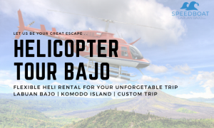 Helicopter Charter Komodo Labuan Bajo